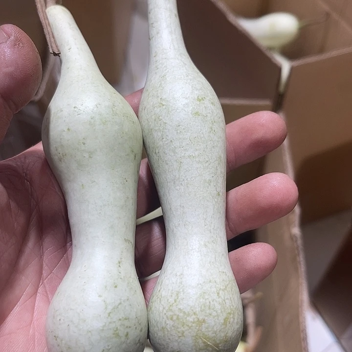 非洲紫檀（红花梨）西****风