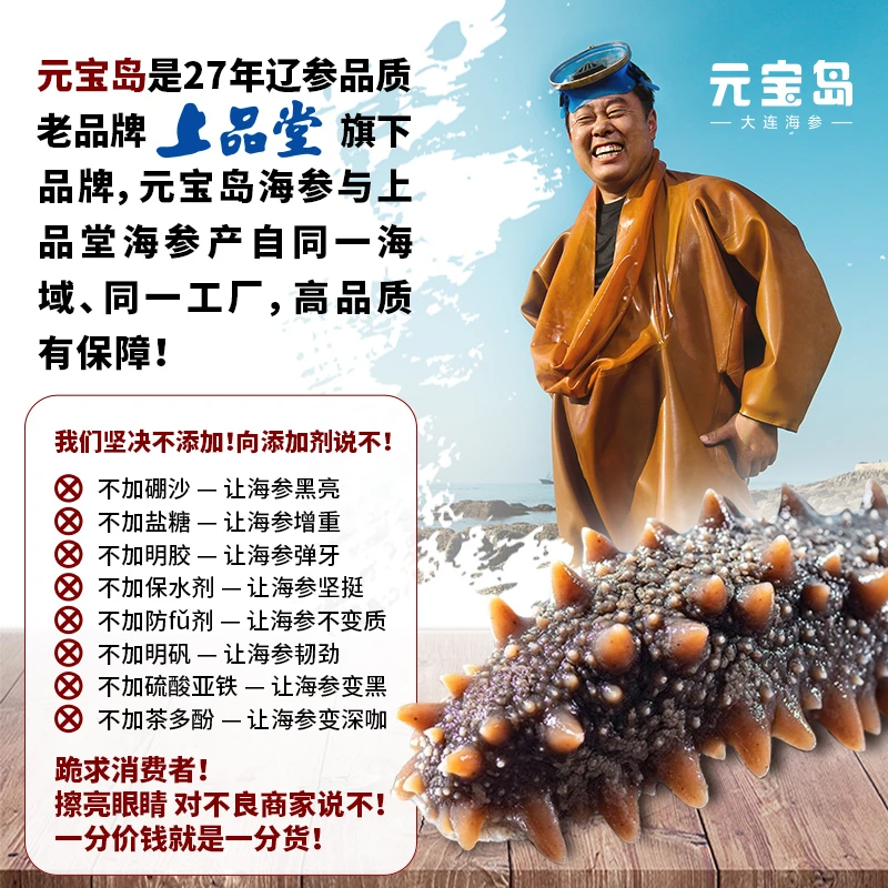 元宝岛大连海参1斤 即食海参500g 11-15头 底播辽参 半野生海参