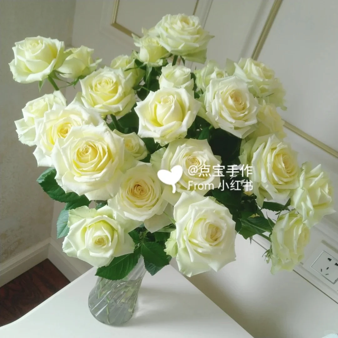 婵之语优选 双子座多头玫瑰鲜切花