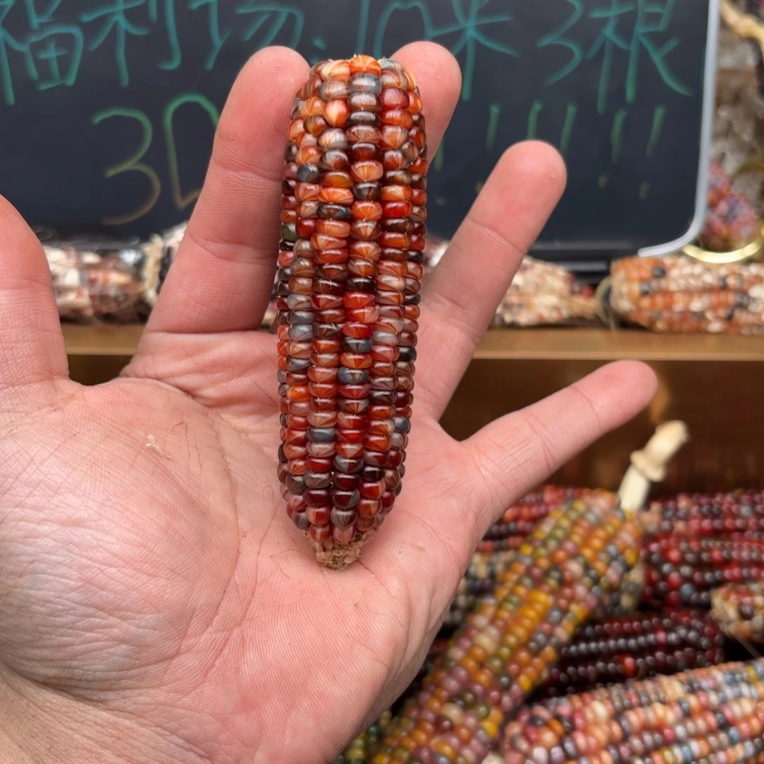 柏香籽/百香籽吊坠性****?