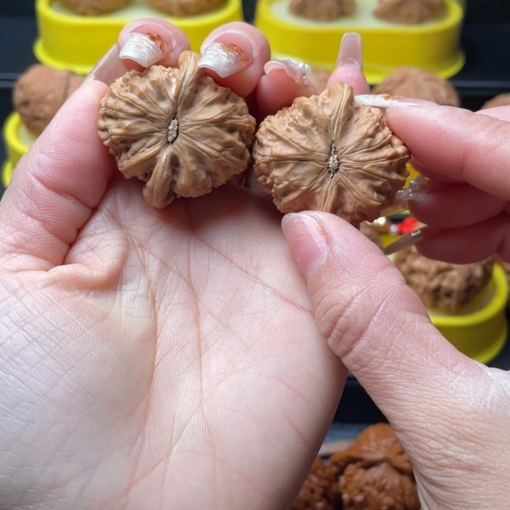 把件文玩核桃白狮子