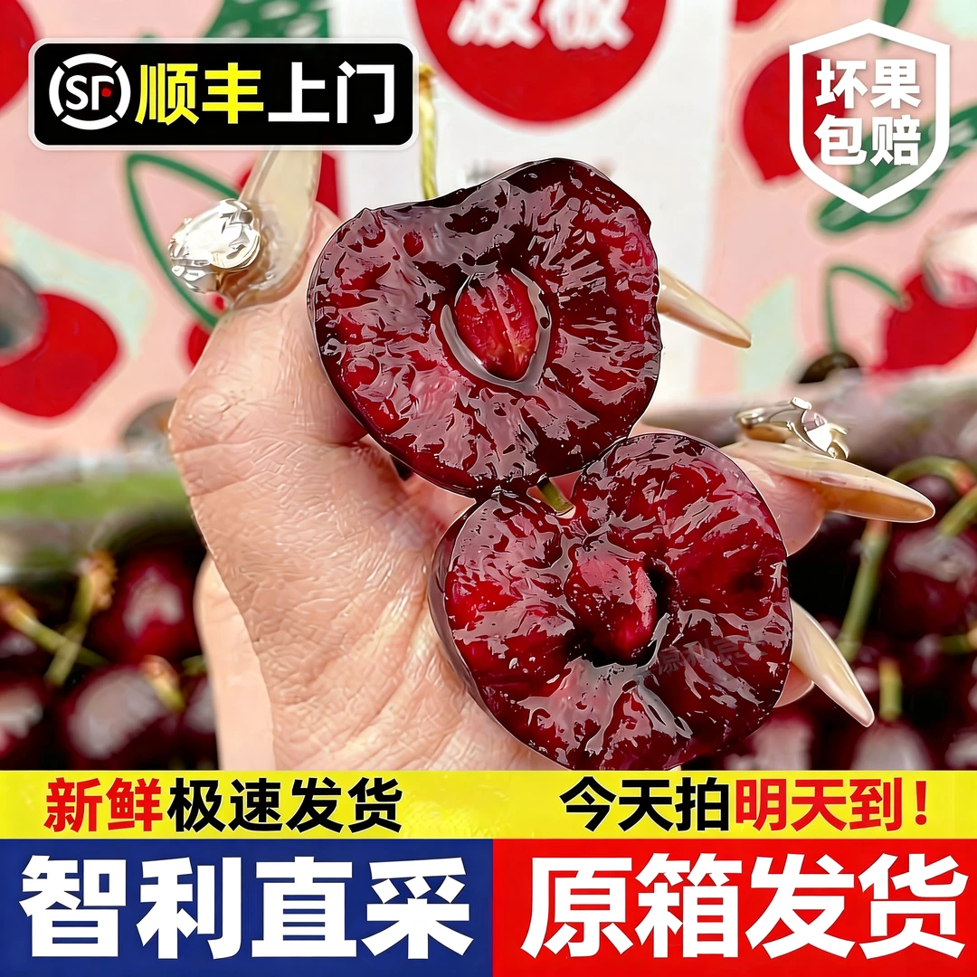 [波板]车进口原箱顺丰包邮女生熬夜必备水果2J-4J海运5斤桑提娜内附果径卡JD智利车厘子桑提娜樱桃智利共和国