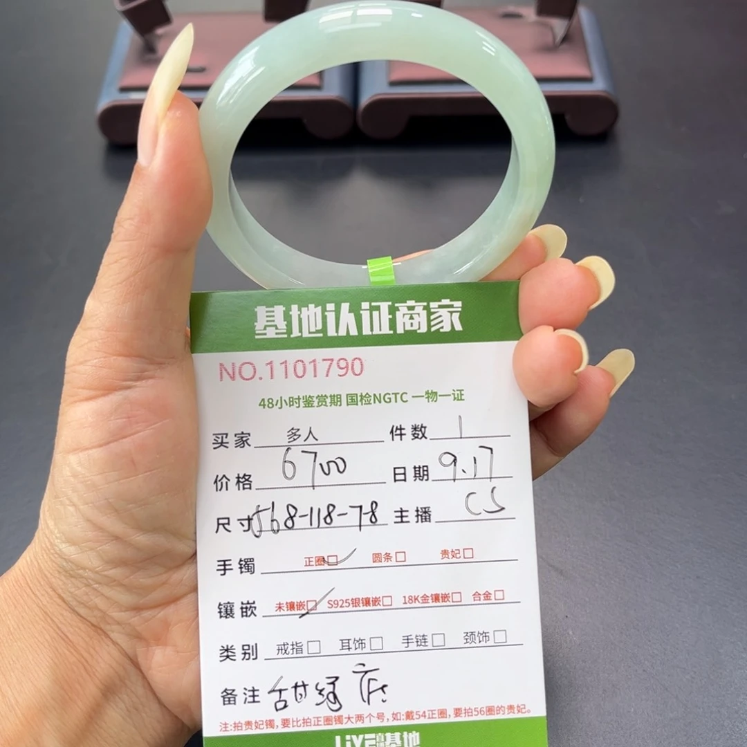未镶嵌手镯翡翠多人