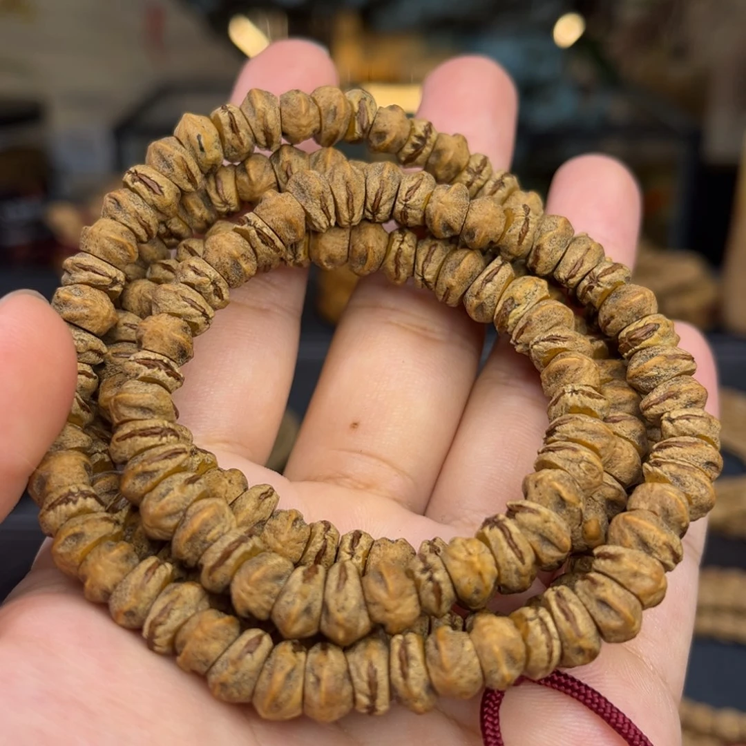 柏香籽/百香籽吊坠红芽鬼肠