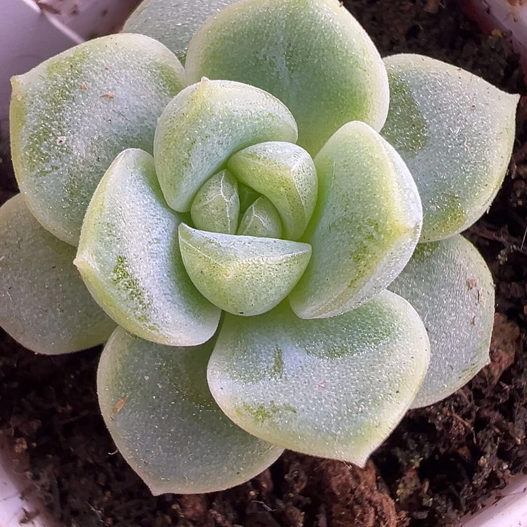 财富密码 尝鲜。