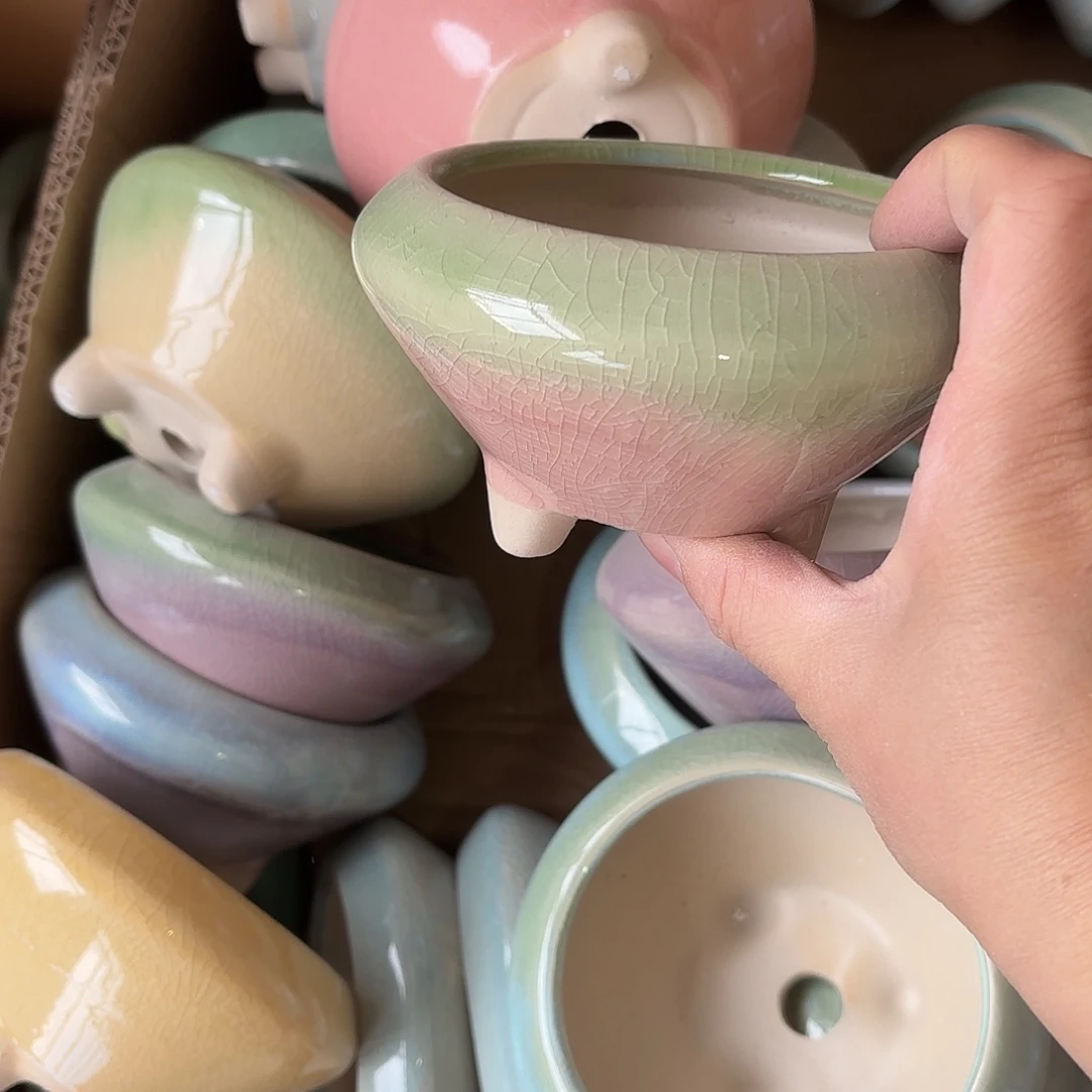 量货/8口高6.5深浅搭配发4