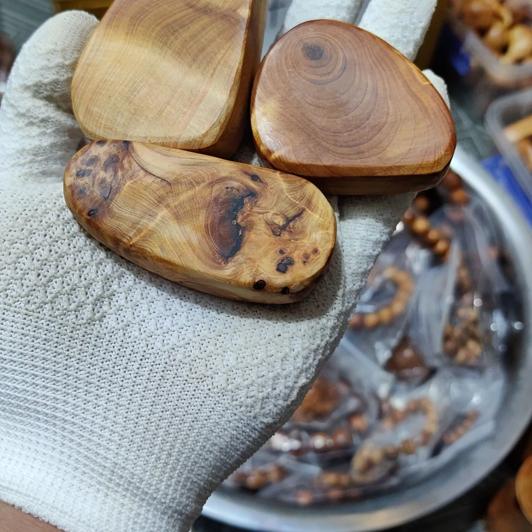 太行崖柏3个+21号