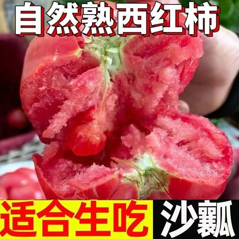 正宗沙瓤西红柿现摘新鲜生吃当季水果番茄自然熟老品种自然成熟