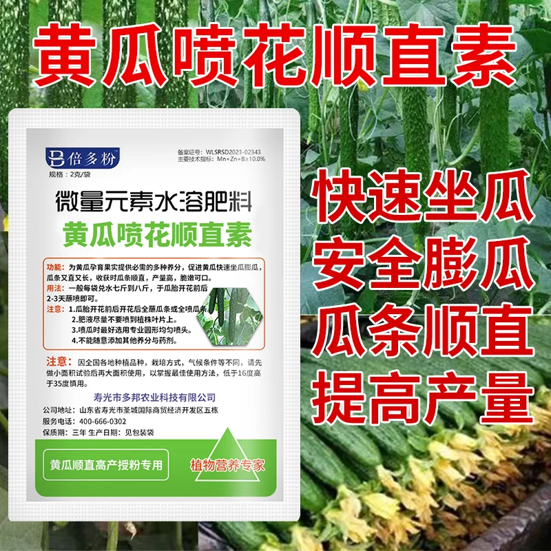 黄瓜快速做瓜剂 拉长拉直