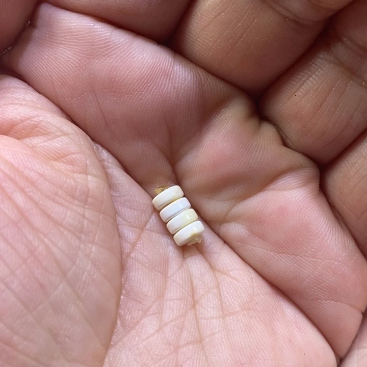 蜜蜡珠宝奇石未镶嵌盈*6隔片