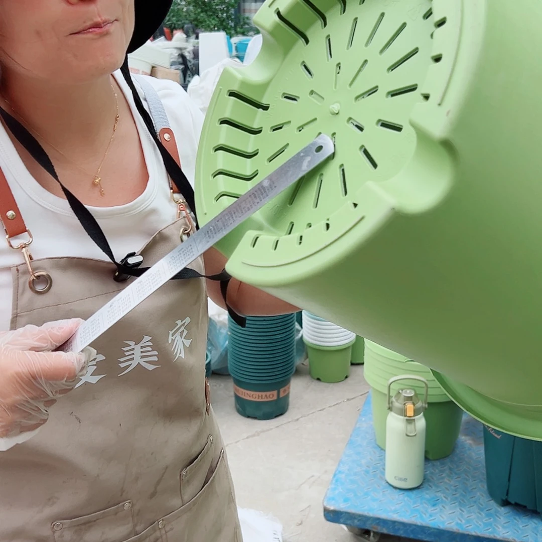 四季盆8#果绿色5个无托