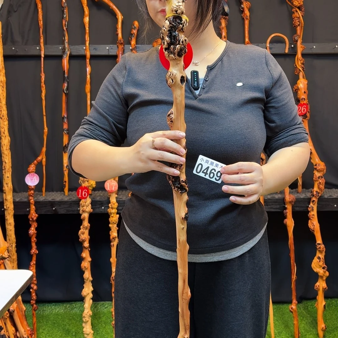 随***流黑果木拐杖469不也