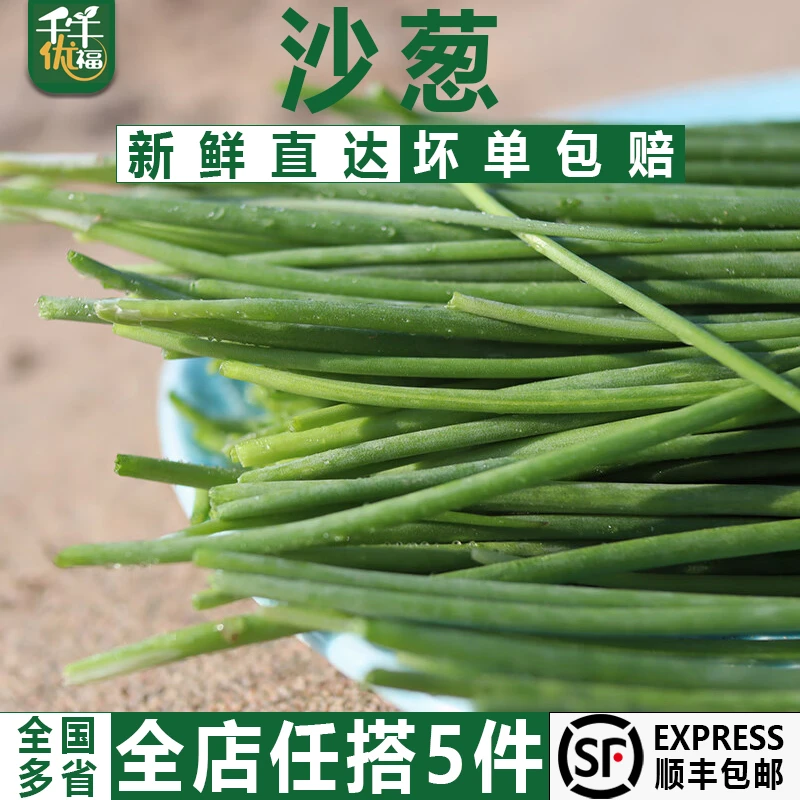 新鲜沙葱250g/盒 小葱香葱辛香脆爽美味民勤特产 任搭5件顺丰包邮