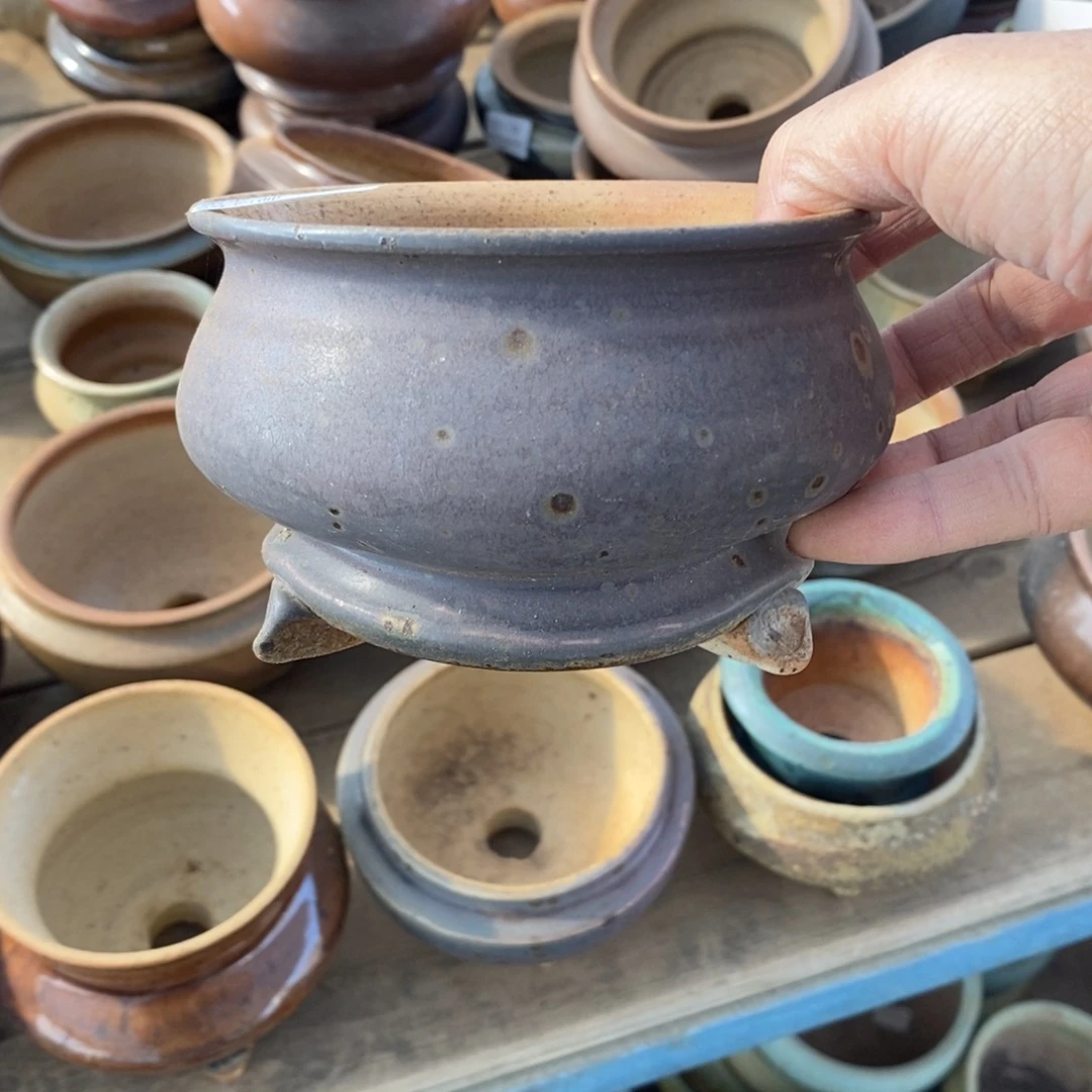 浓***啡30号多肉盆口径10