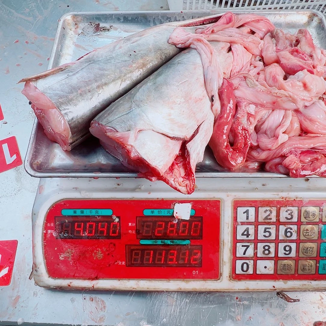 中国大陆两头加鱼杂