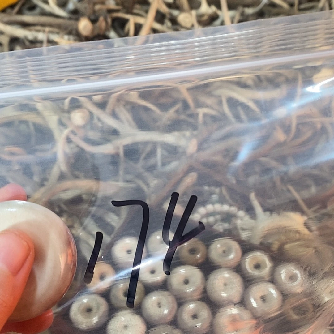 我***克非金属鹿角鹿角鹿角