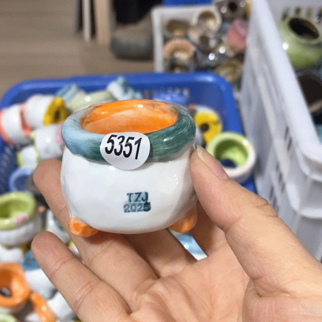 拍3送一个小礼物