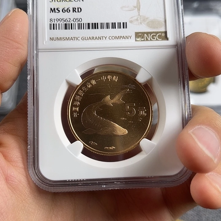 其他普通金属用****5中华鲟ngc66