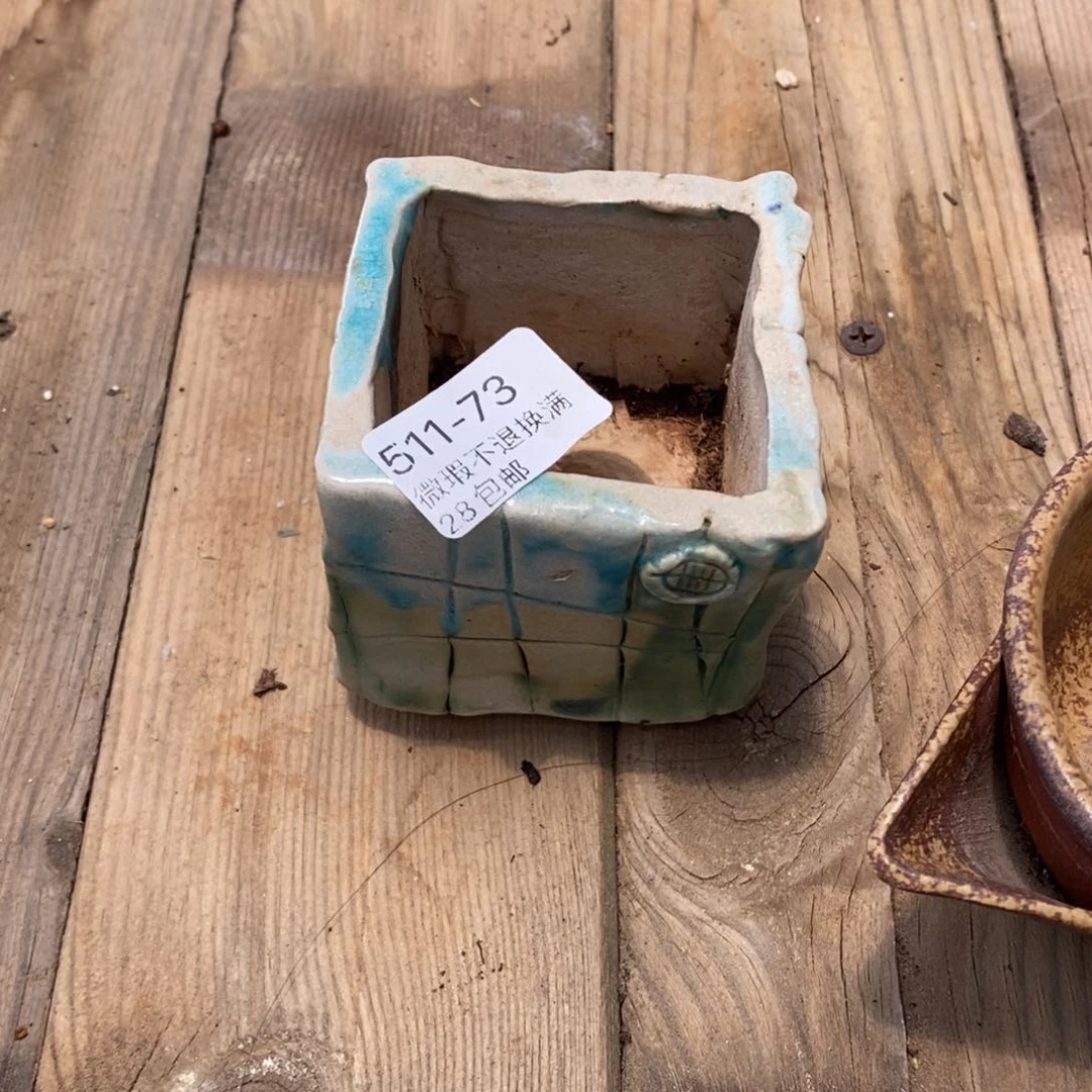 ?****?73号多肉盆一个呀