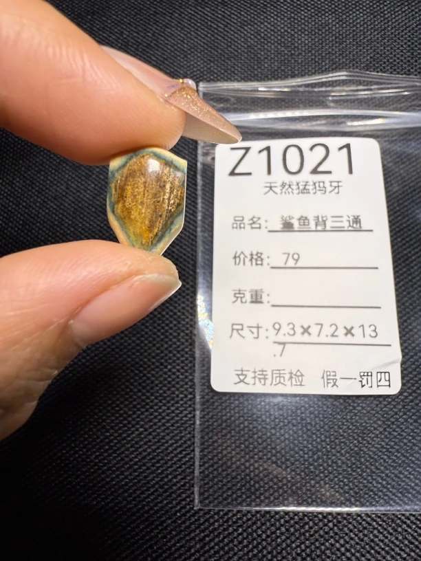 Z1021天然猛犸牙蓝皮鲨鱼背配饰