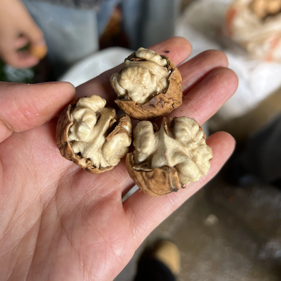 【九峰助农】新鲜核桃