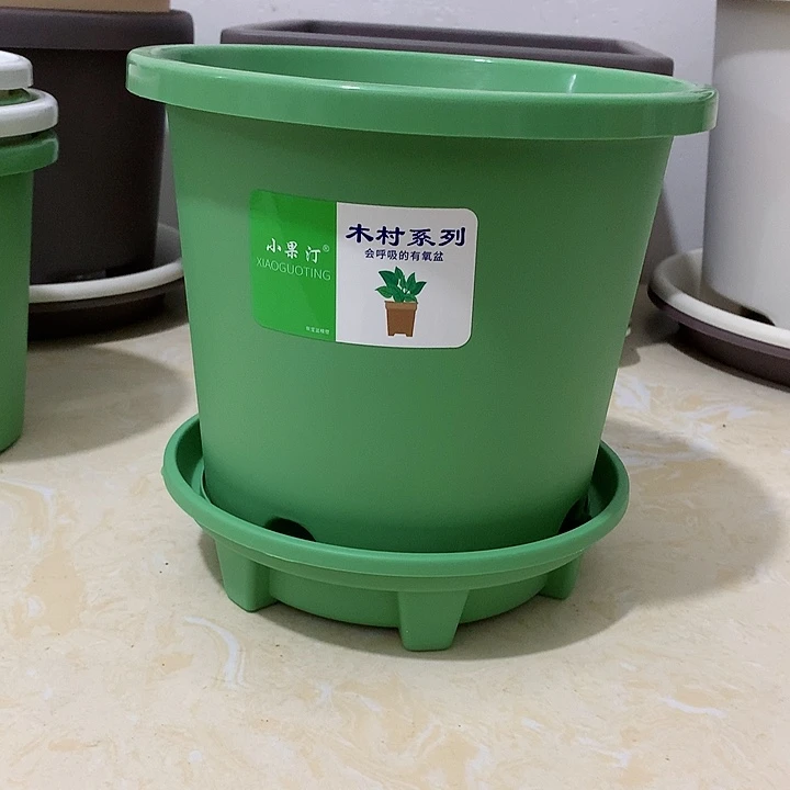 小果汀20口绿5个带托