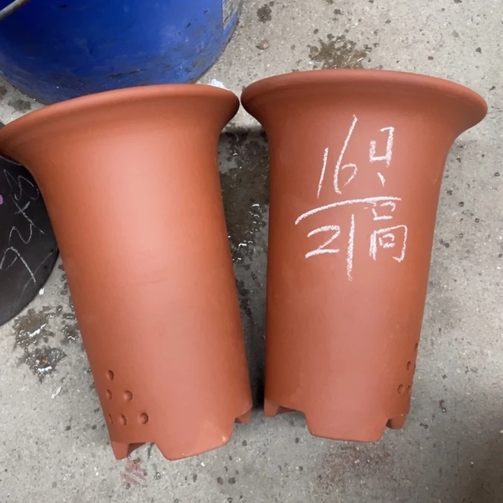 学生周三周四周三周四