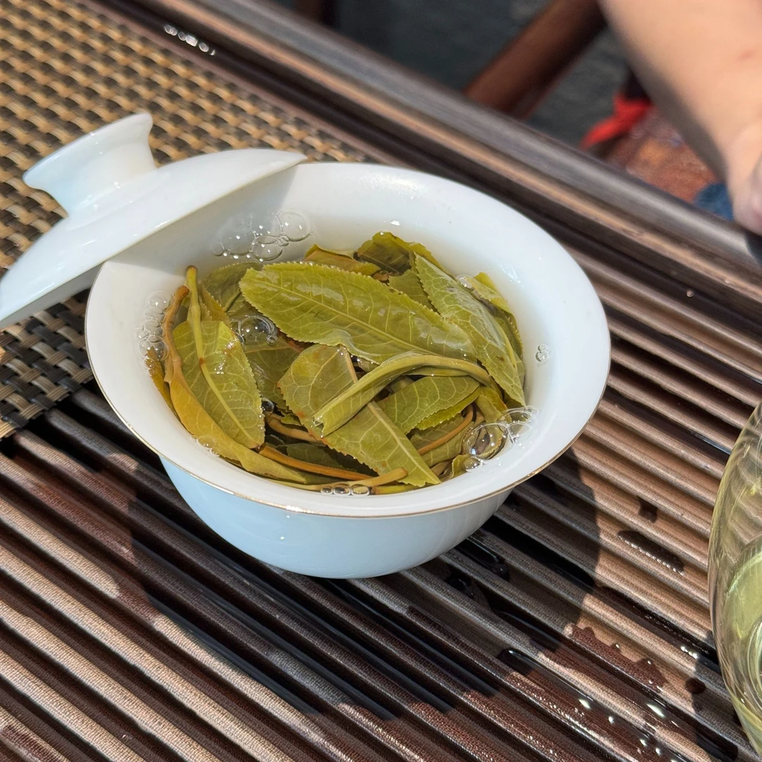 【瑞叶滕】2025年 绿水塘古树 普洱生茶  50克/盒