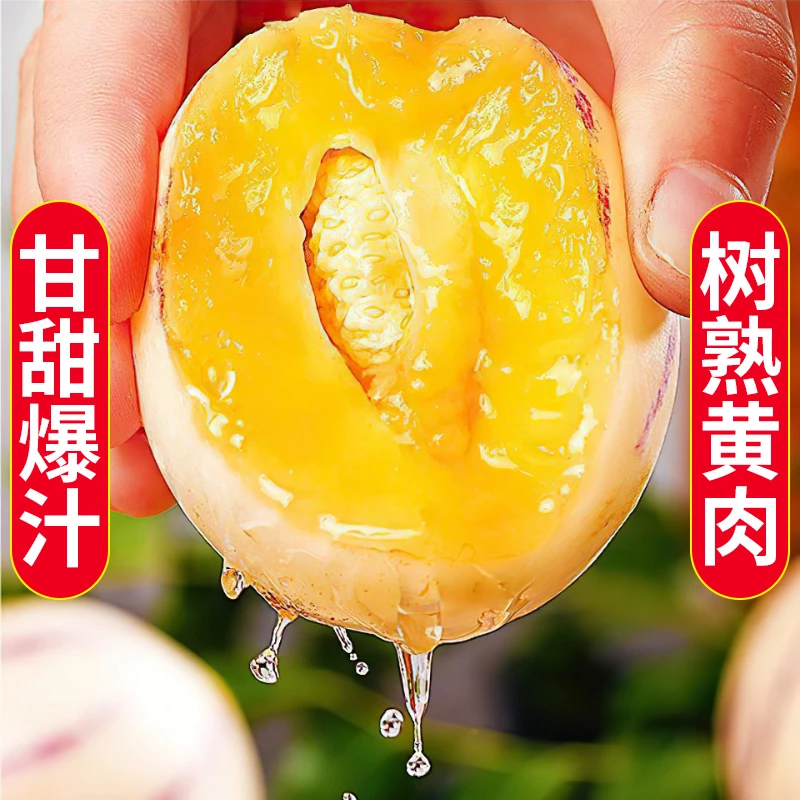 云南树上熟人参果圆果黄肉纯甜无酸一口爆汁新鲜水果人生果