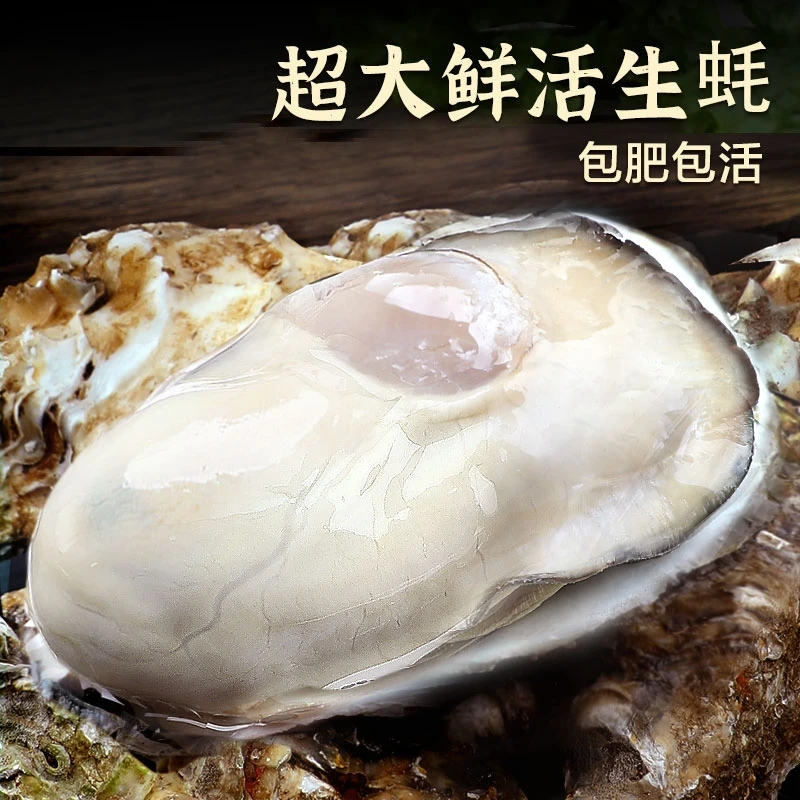 预约1月21号发货【买5斤送4斤到手9斤】正宗鲜活乳山生蚝牡蛎