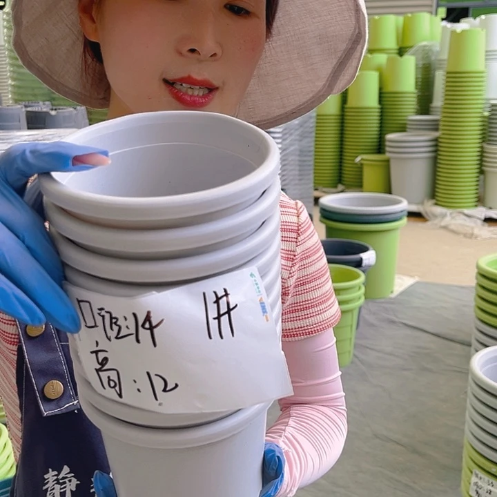 四季盆1#灰白色10个无托