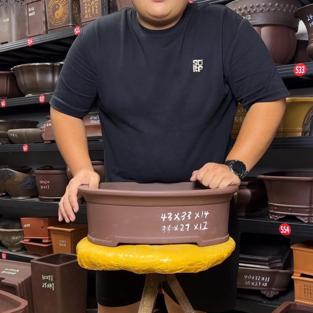 紫砂花盆呜呜呜呜呜我