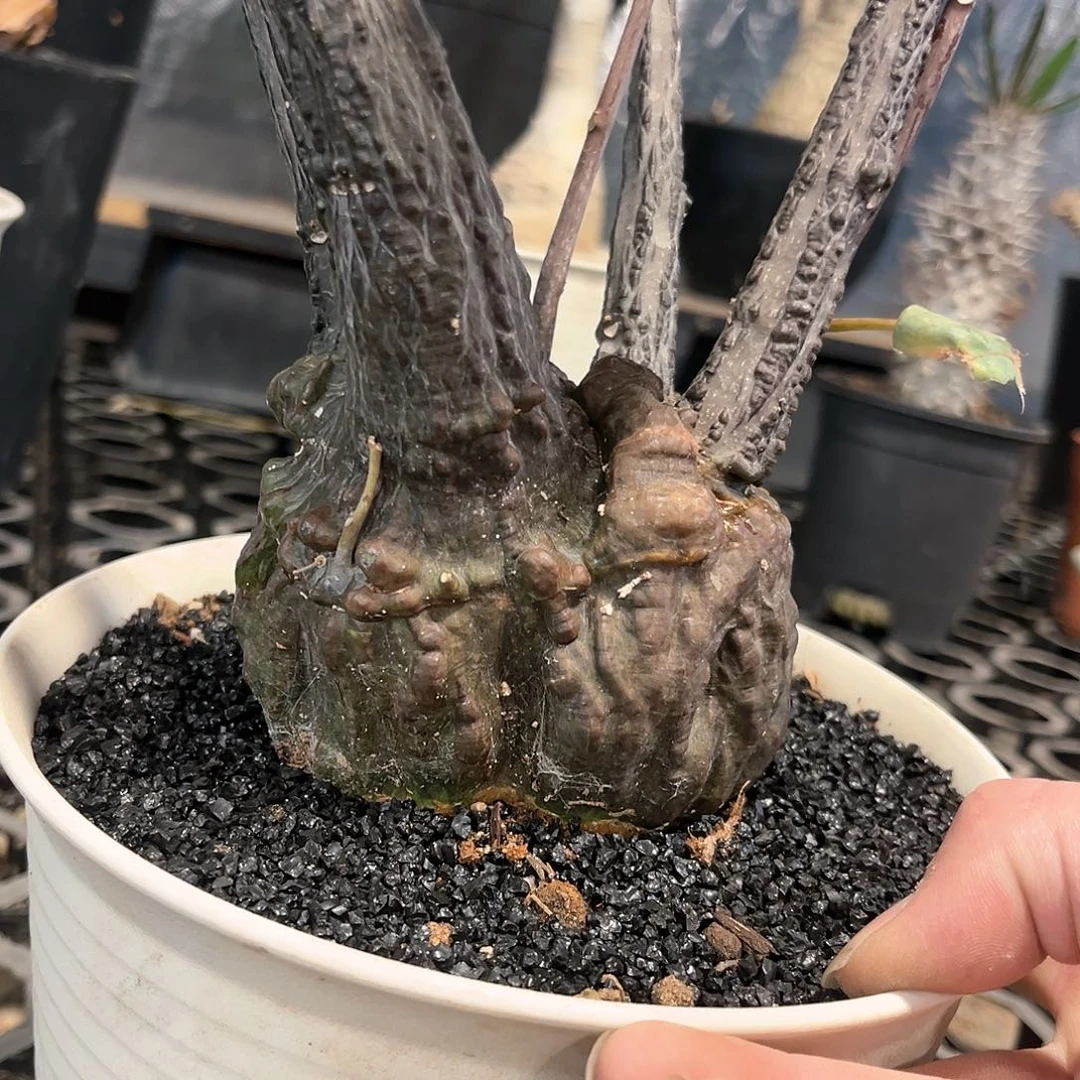 海**空11111111111111111111