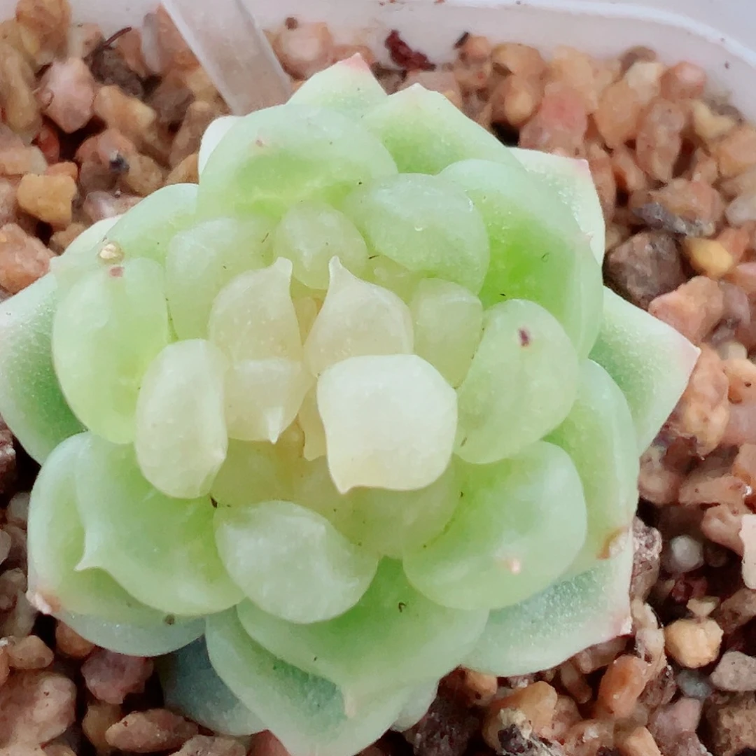 811哈哈哈哈哈哈哈哈