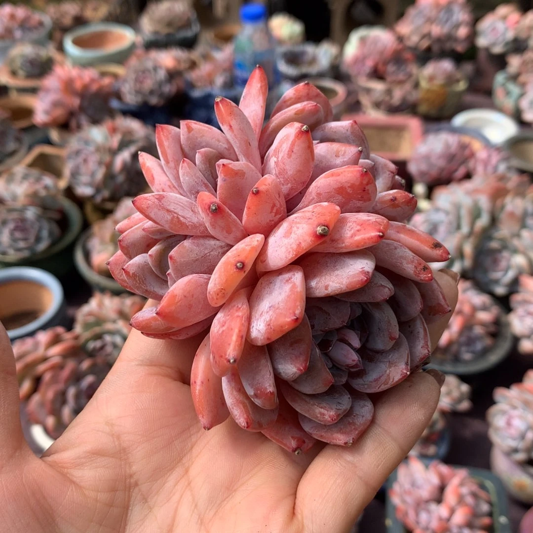 哈哈哈哈哈哈哈哈哈哈哈