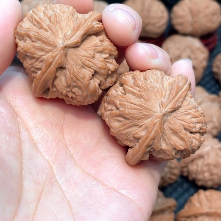 球形白狮子4.1全品无修。