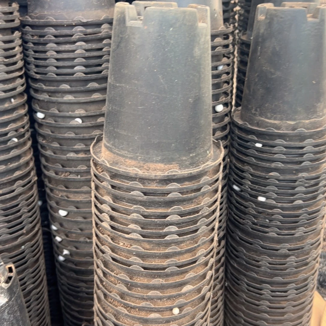 花边兰花万象盆12口径13高 15个