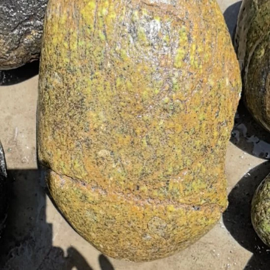 石材用****8藏玉药王石原石摆件一个