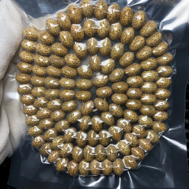 0635海南星月菩提原生态12玄月鸡油黄苹果珠算盘珠120颗星月脖挂