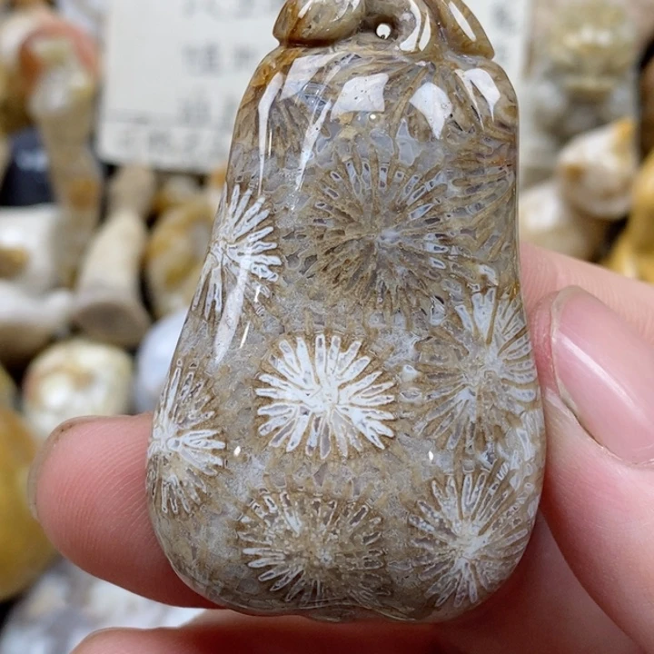 颈饰未镶嵌硅化珊瑚（珊瑚玉）