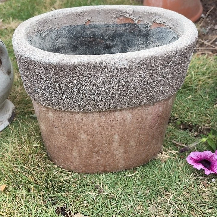 汪***喵许纯的花房 孤品016