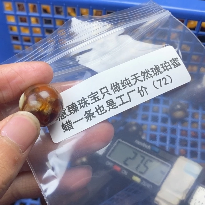 【闪购商品】琥珀珠宝奇石未镶嵌乌****贝