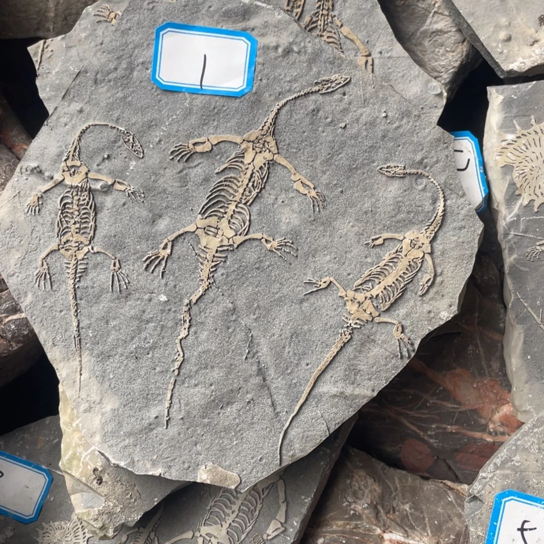 石材11111111111111111111111