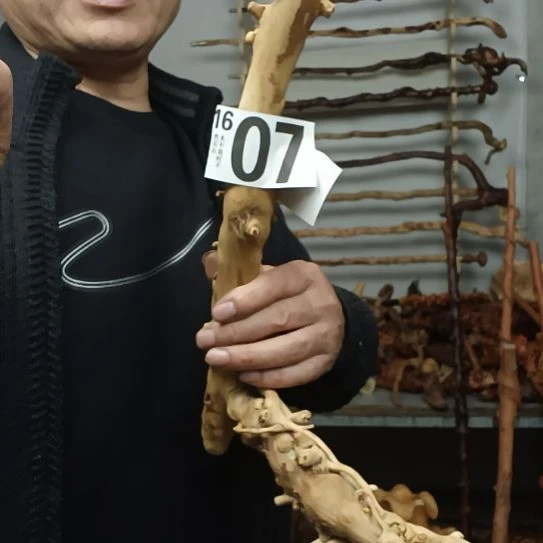 那***景香榧木高山 檬子木文玩料