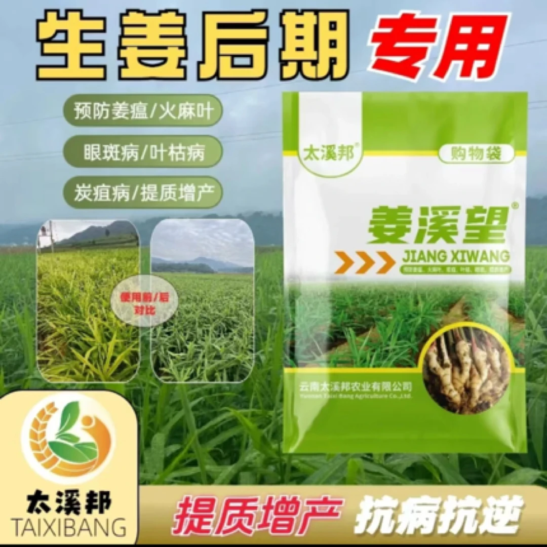 姜溪望三颗苗后使用 提质增产 防病套餐生姜专用