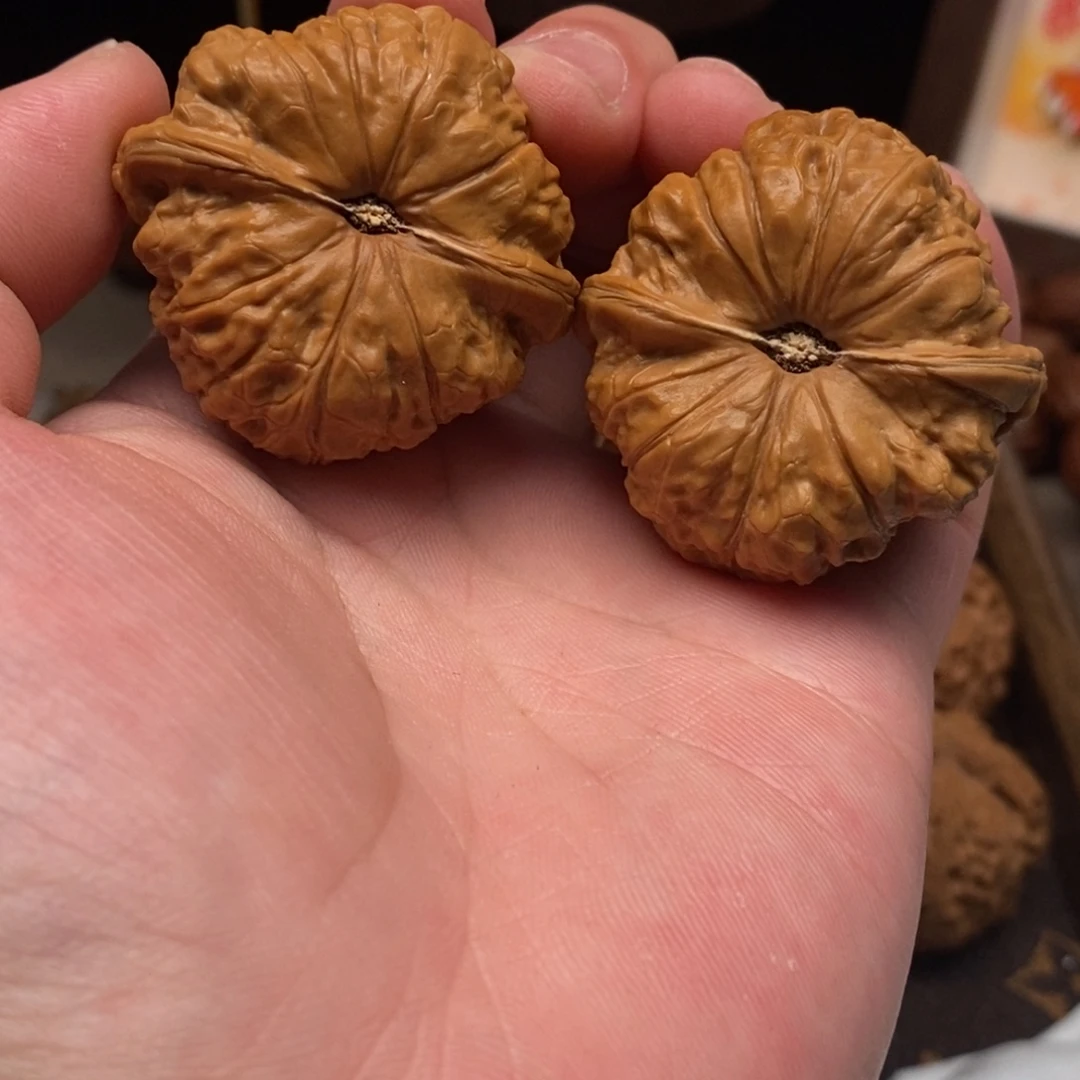 文玩核桃把件南瓜墩42