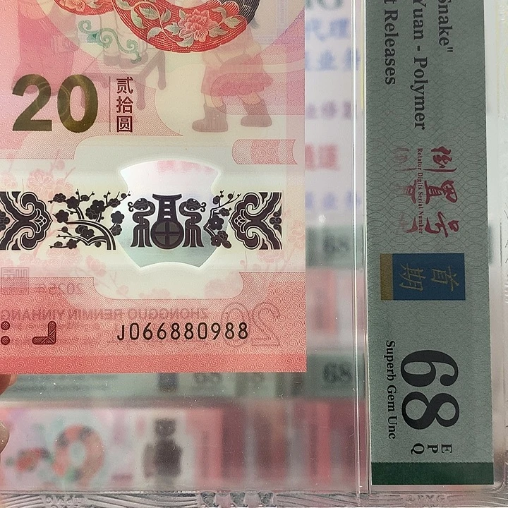 塑料圆圆尾88，三对子