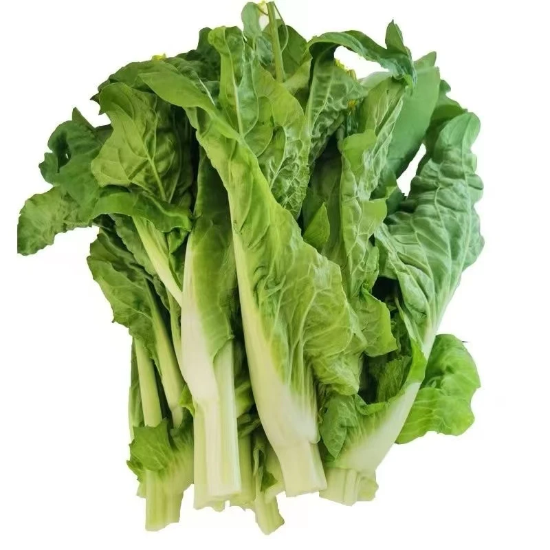 【白菜苔】恩施高山农家白菜苔