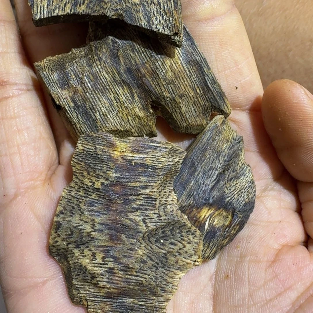 绘***华沉香沉香碎屑紫棋老料孤品12克➕