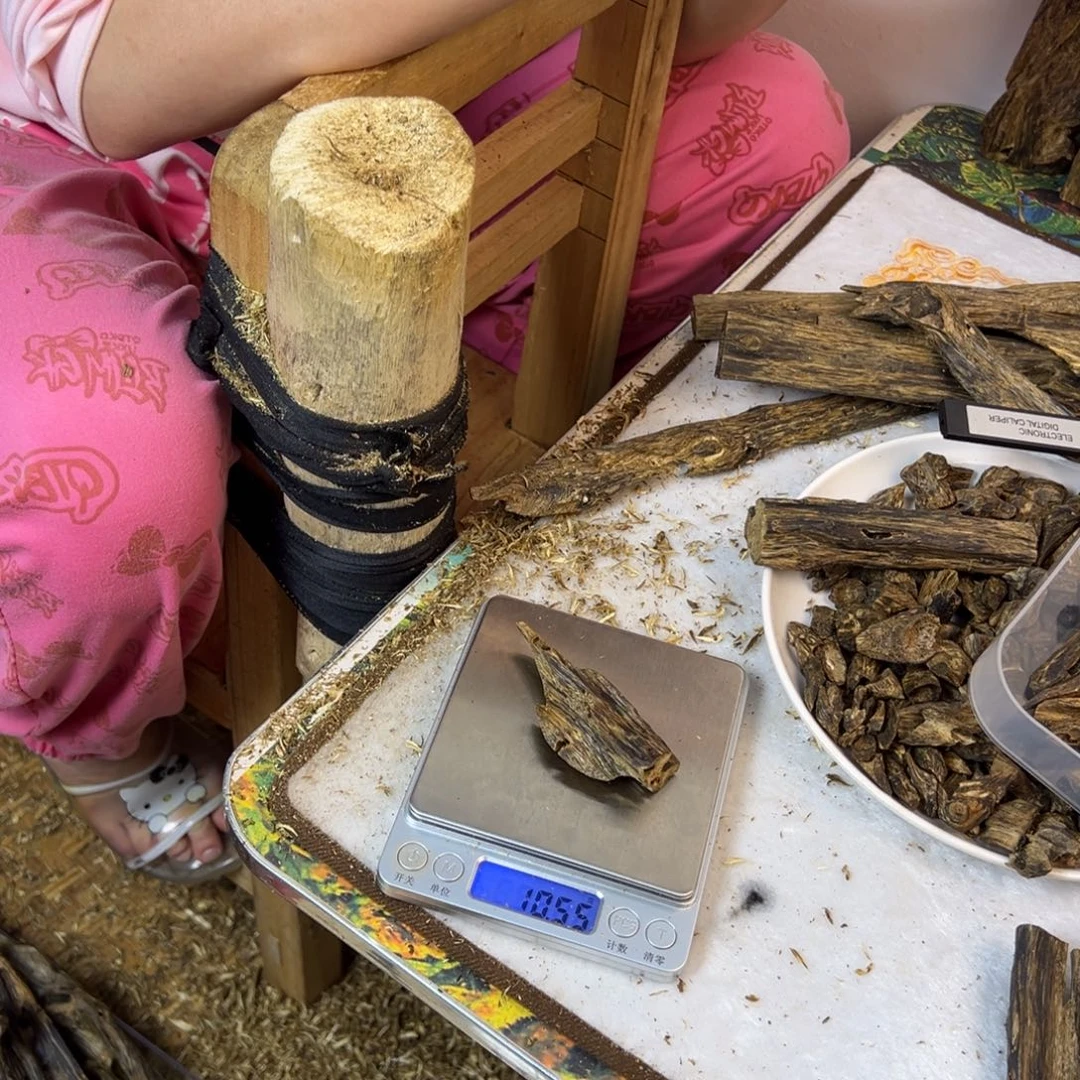 线香奇楠虫漏香10克